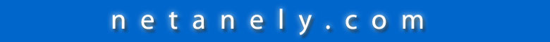 netanely.com